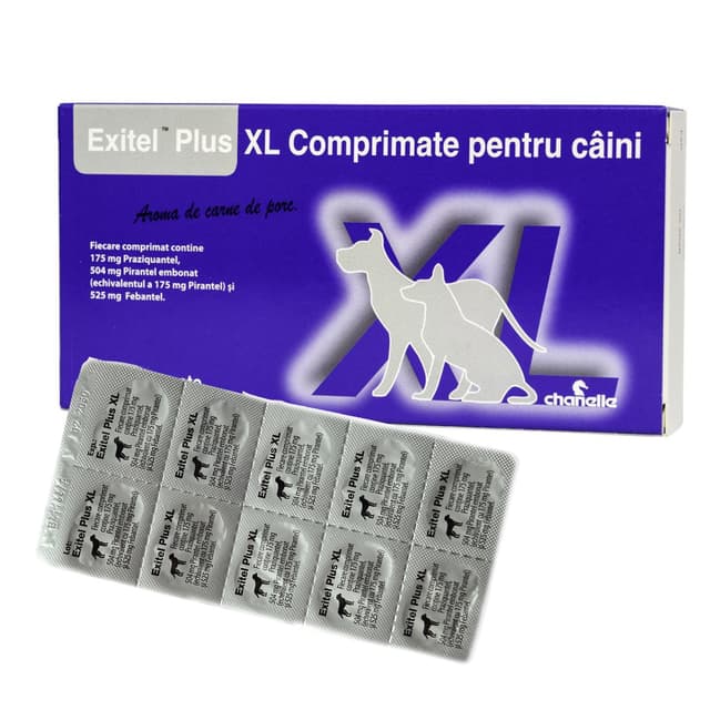 Exitel Plus XL Caine, 1 tableta