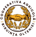biruintaolteniei.ro